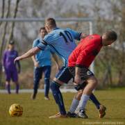 POU3113